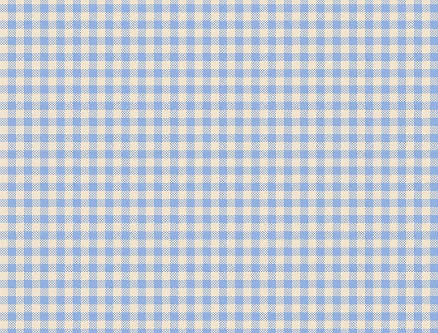 Blue Gingham AirTag Skin + Case