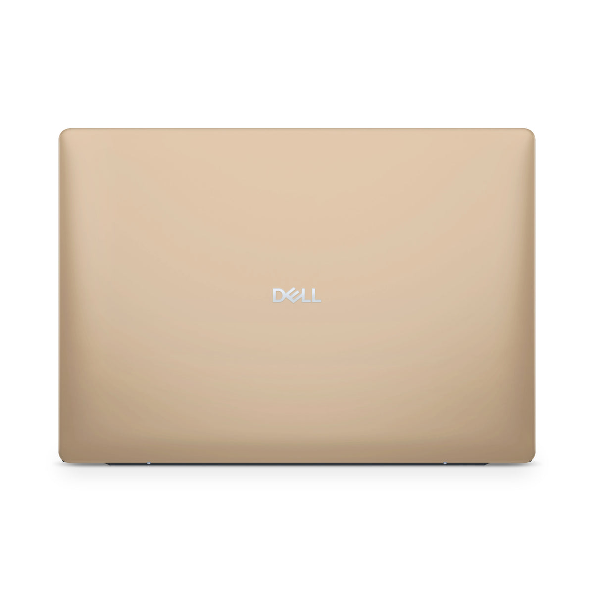 Biscuit Beige Dell Skin