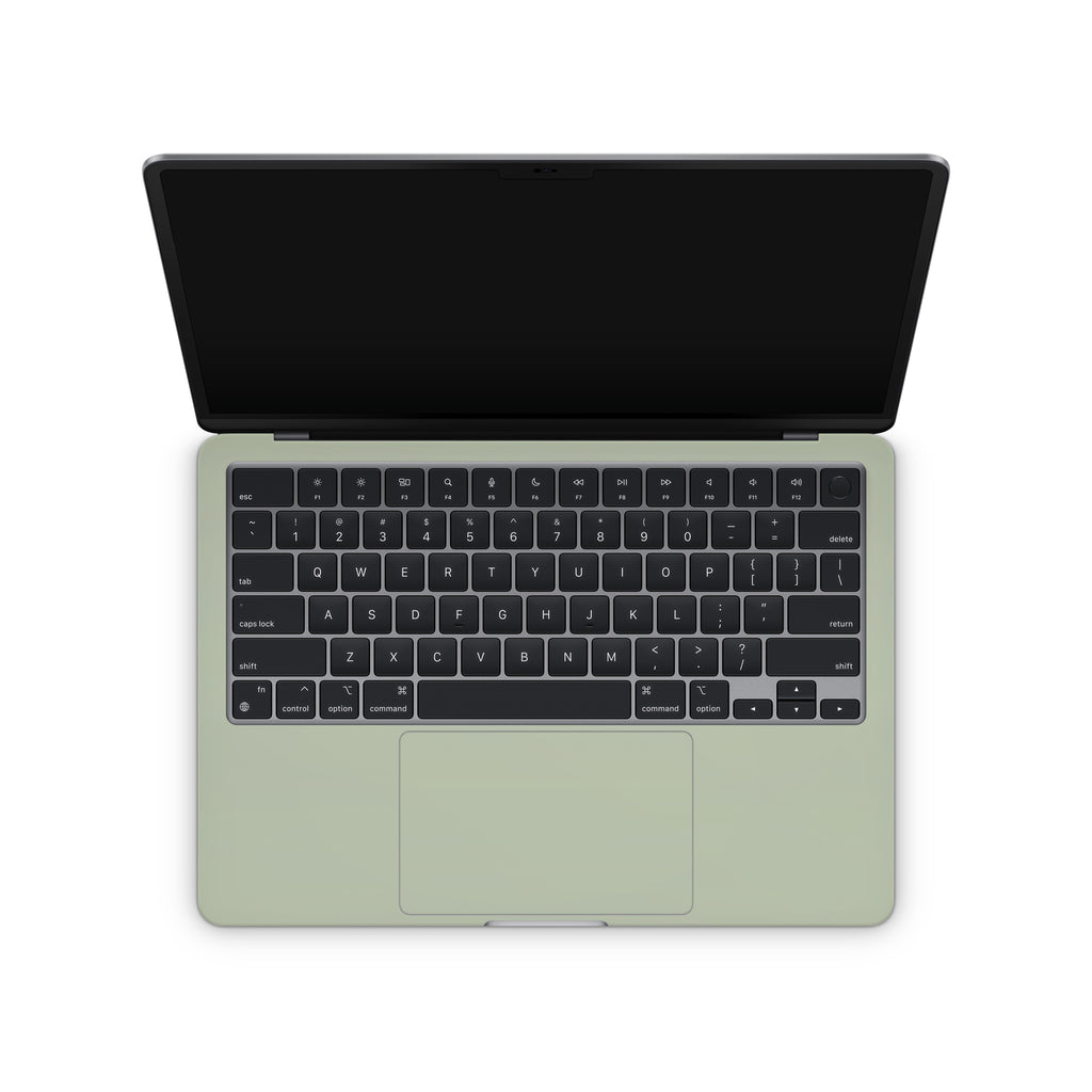 Sage Green MacBook Skin + Case