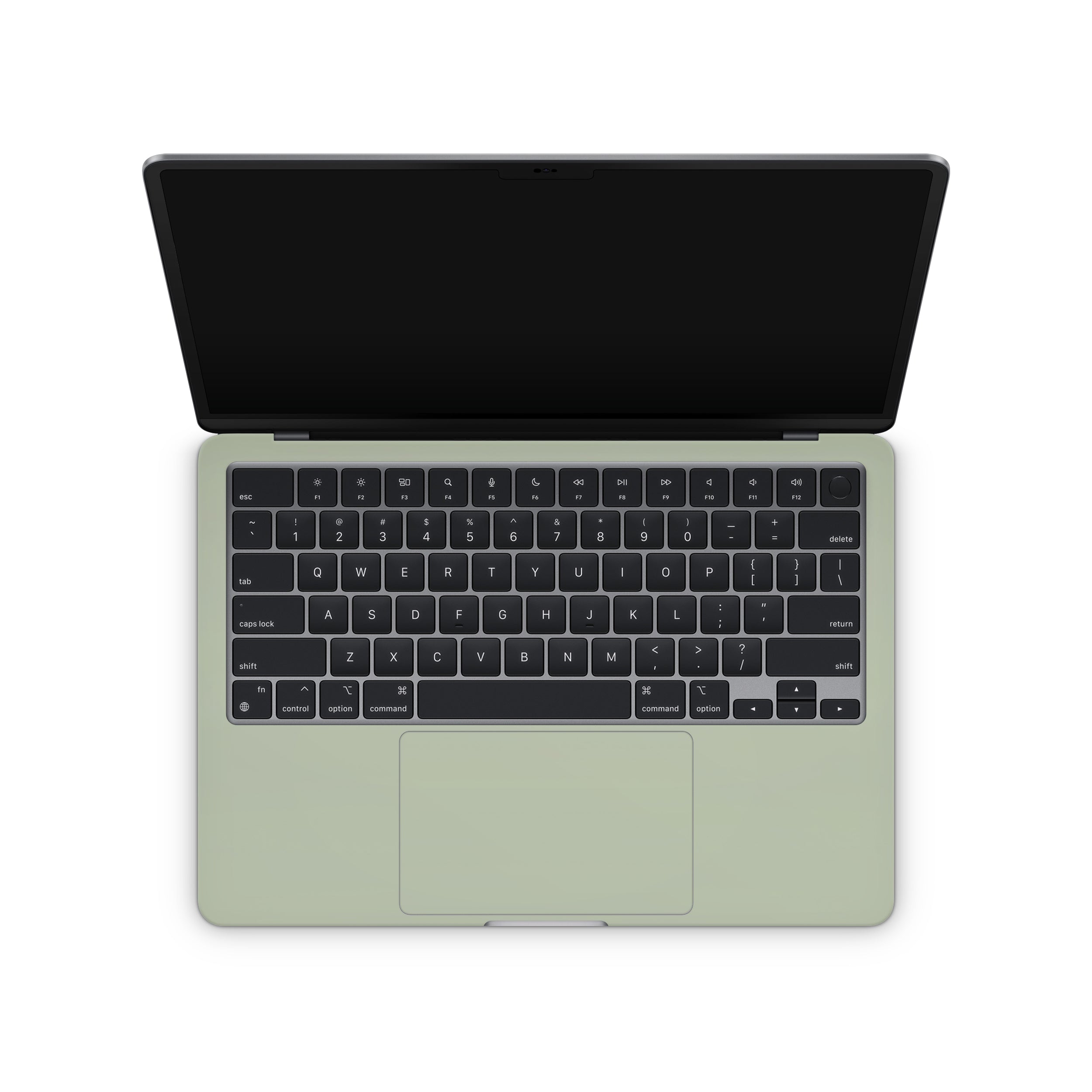 Sage Green MacBook Skin + Case