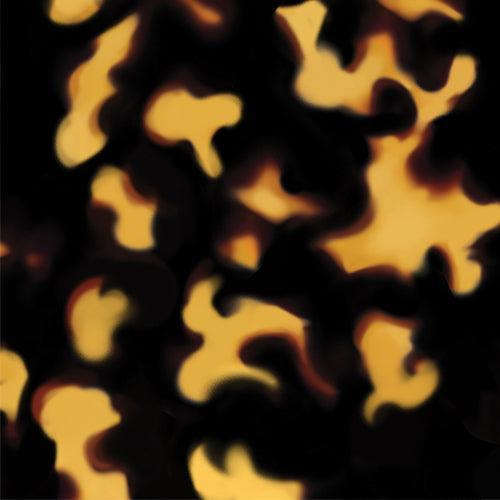 Tortoise Shell iPhone Skin + Case