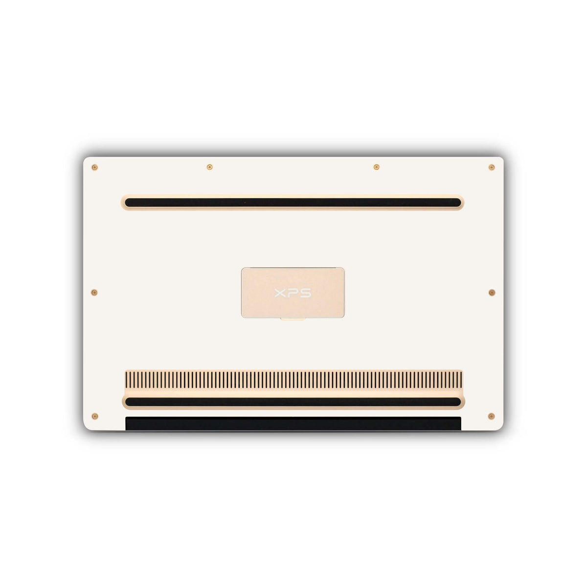 ivory white dell skin bottom view