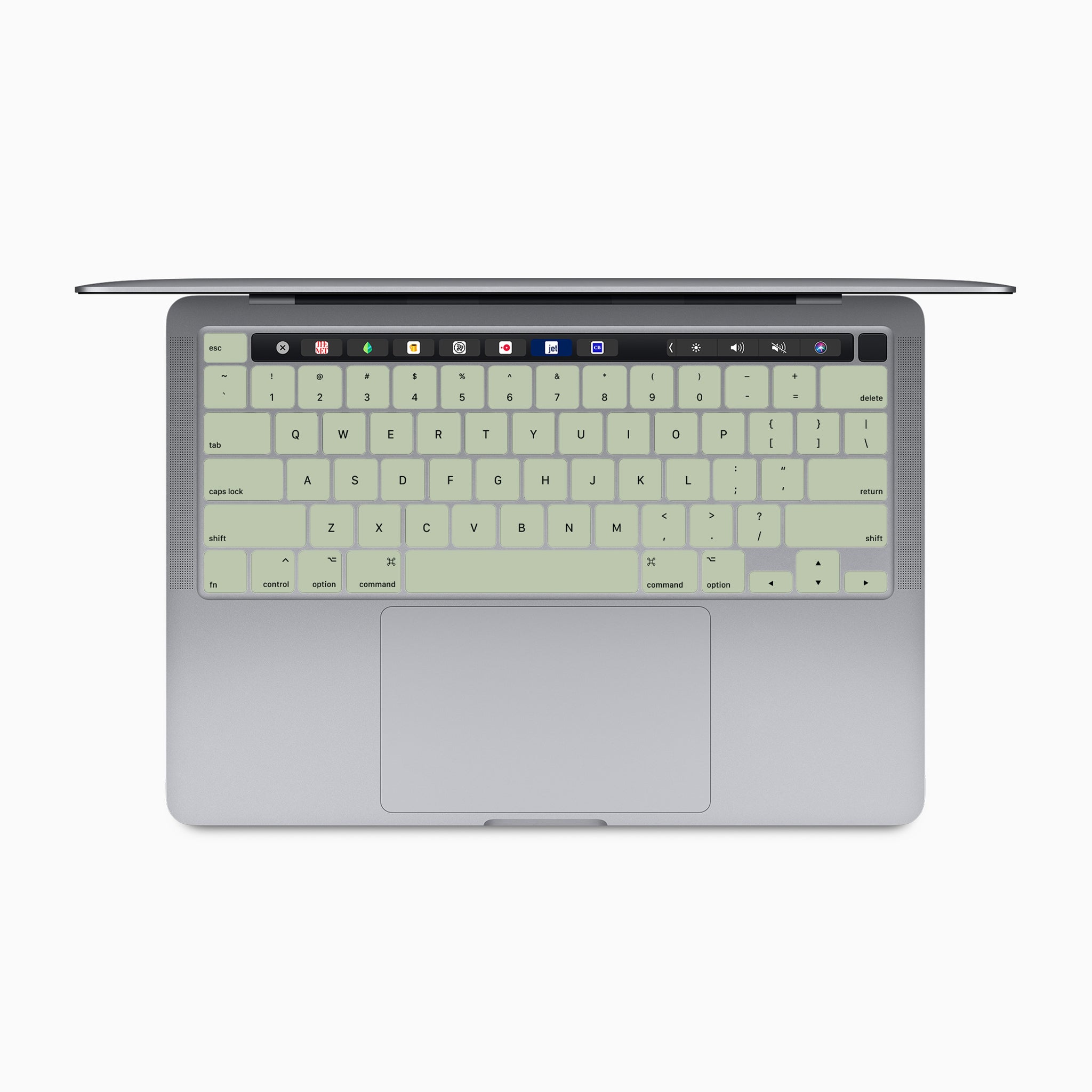 sage green internal macbook keyboard skin
